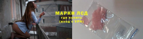 стафф Алзамай