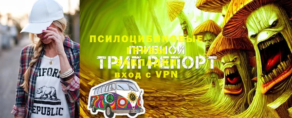 стафф Алзамай