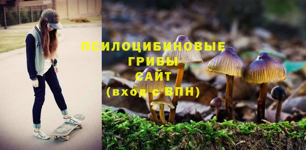 стафф Алзамай