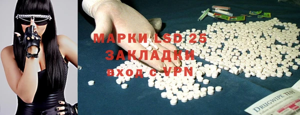 стафф Алзамай