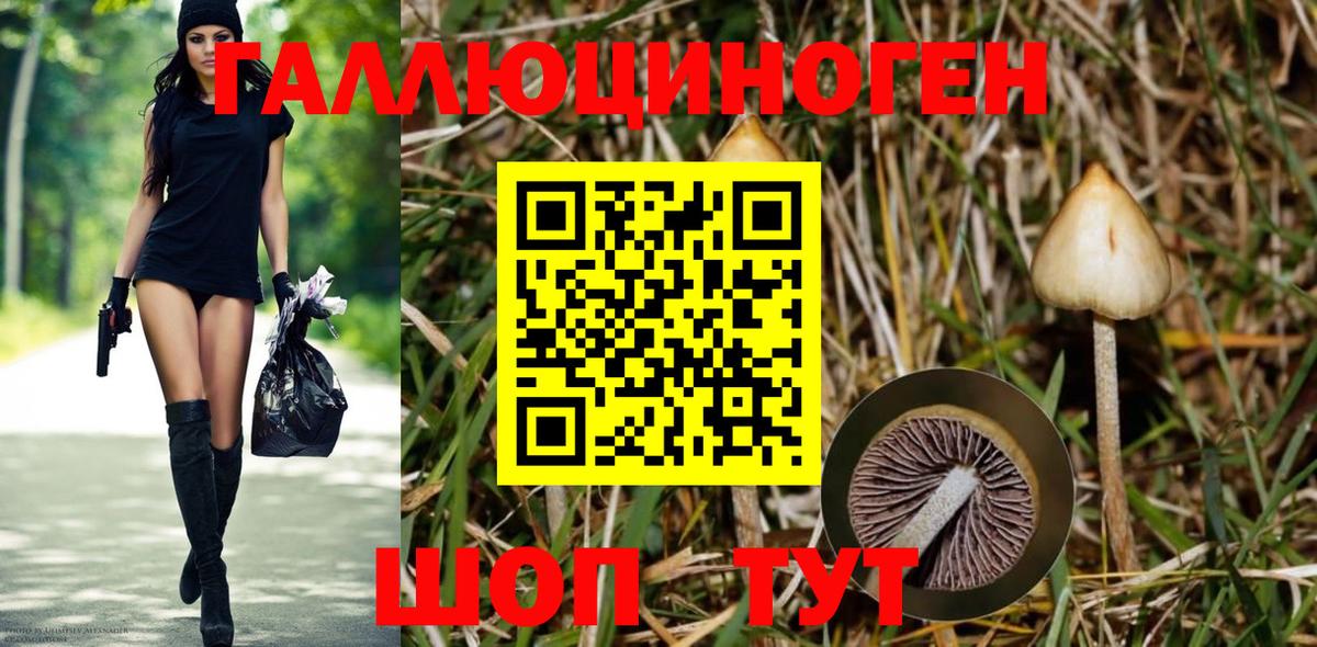 Галлюциногенные грибы мицелий Асино
