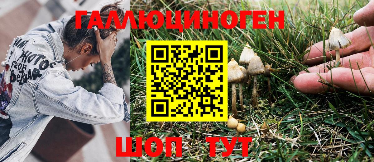 Галлюциногенные грибы Psilocybe  Вход с VPN  Асино 