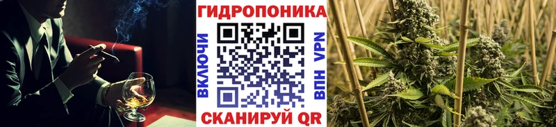 Каннабис планчик  блэк спрут ТОР  Асино 