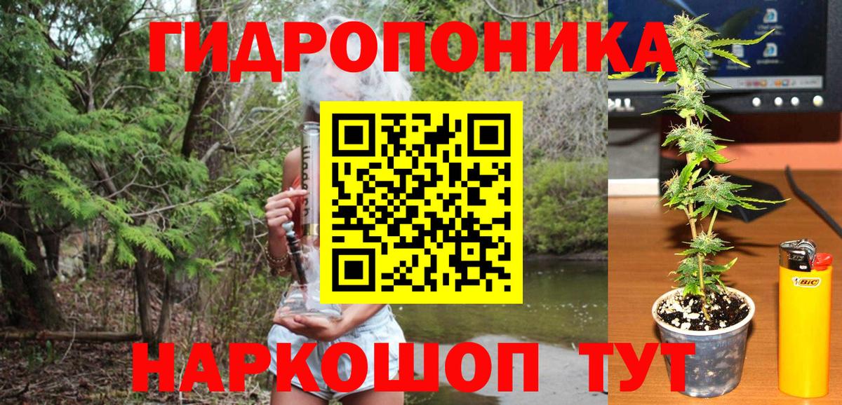 Конопля ГИДРОПОН Асино